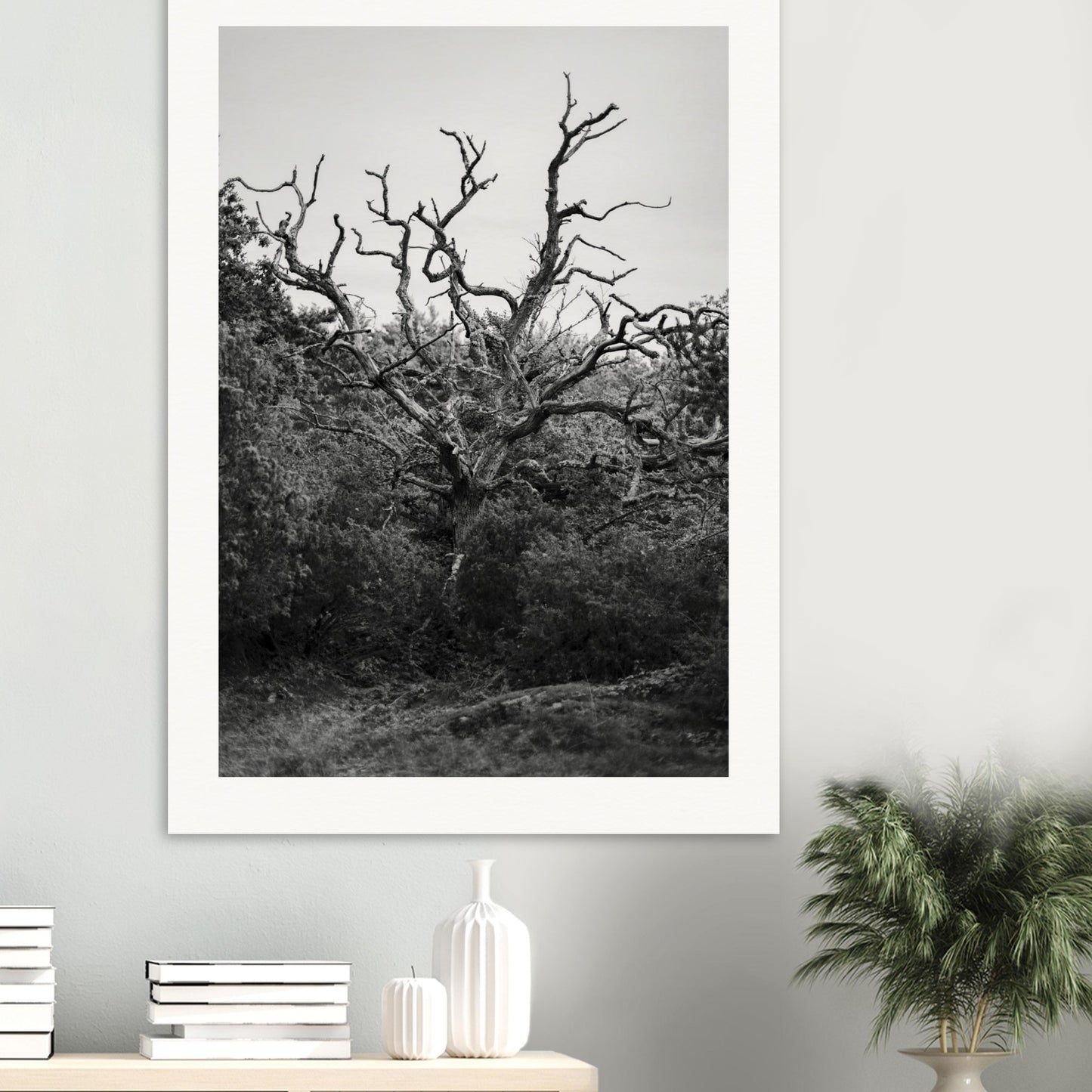 0697d30f-a11a-407d-941b-29c8f1ee568a