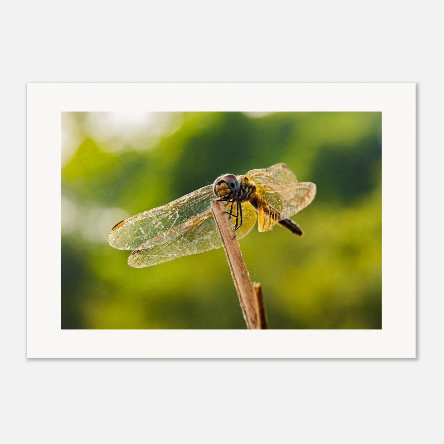 0ec89aa2-1744-40ab-a594-12fcb12e50c3