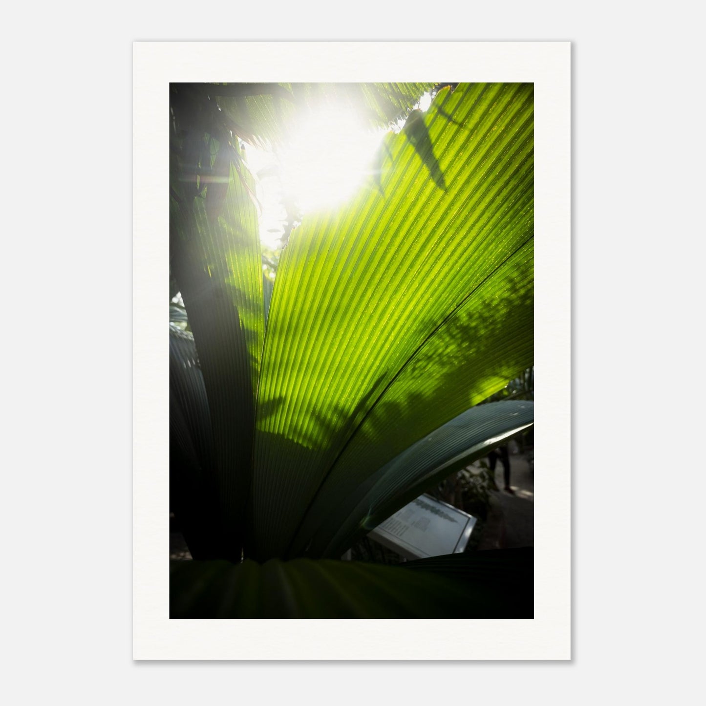 3865c1b8-f6d1-4876-87b1-eb1c13d6eab2