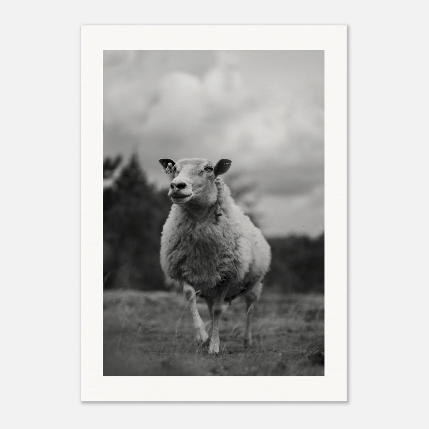 4061618c-7bf7-4c8d-a7b2-7ec799acf51e