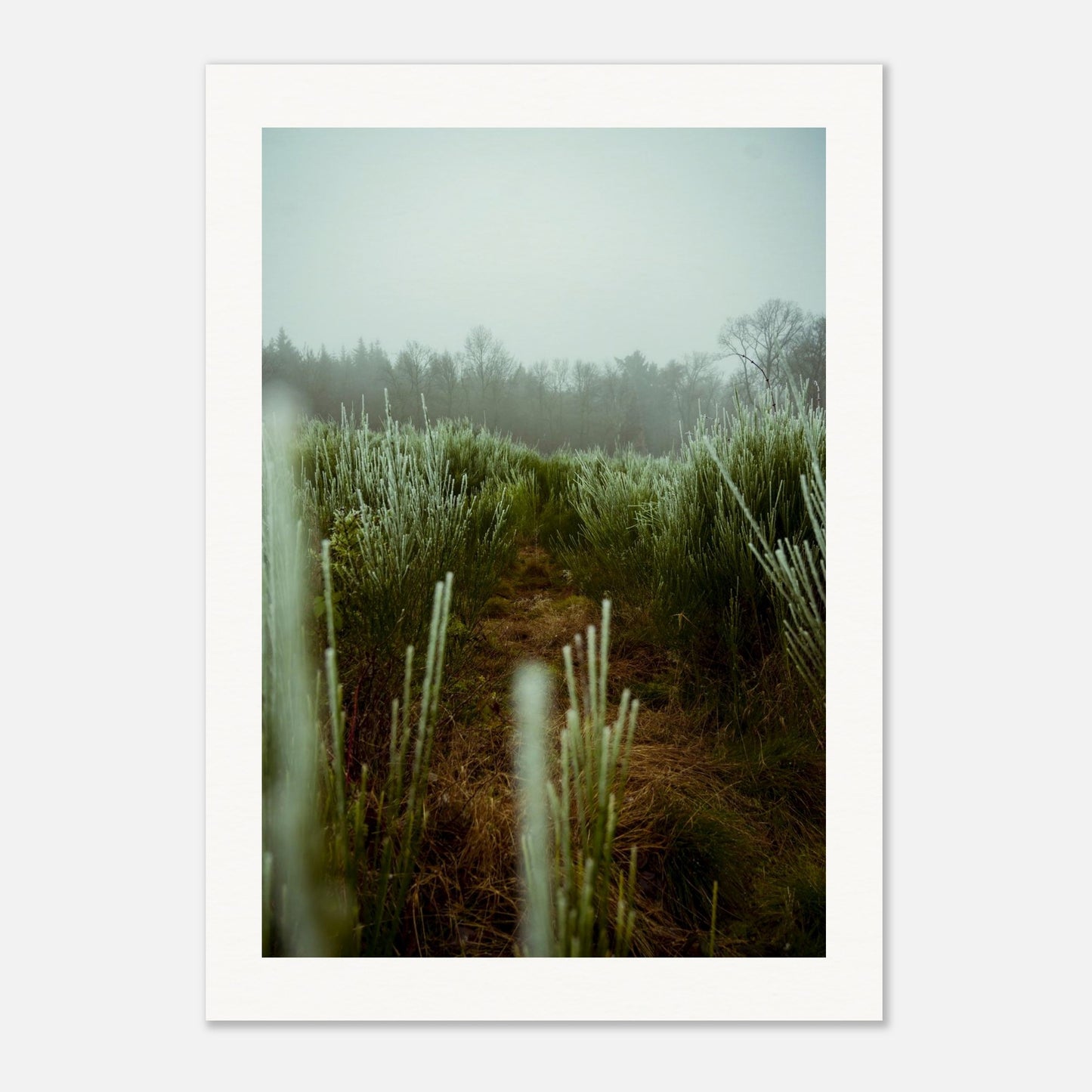 b76a76aa-2d6e-42ec-a5dd-2c3fe4a54e1d