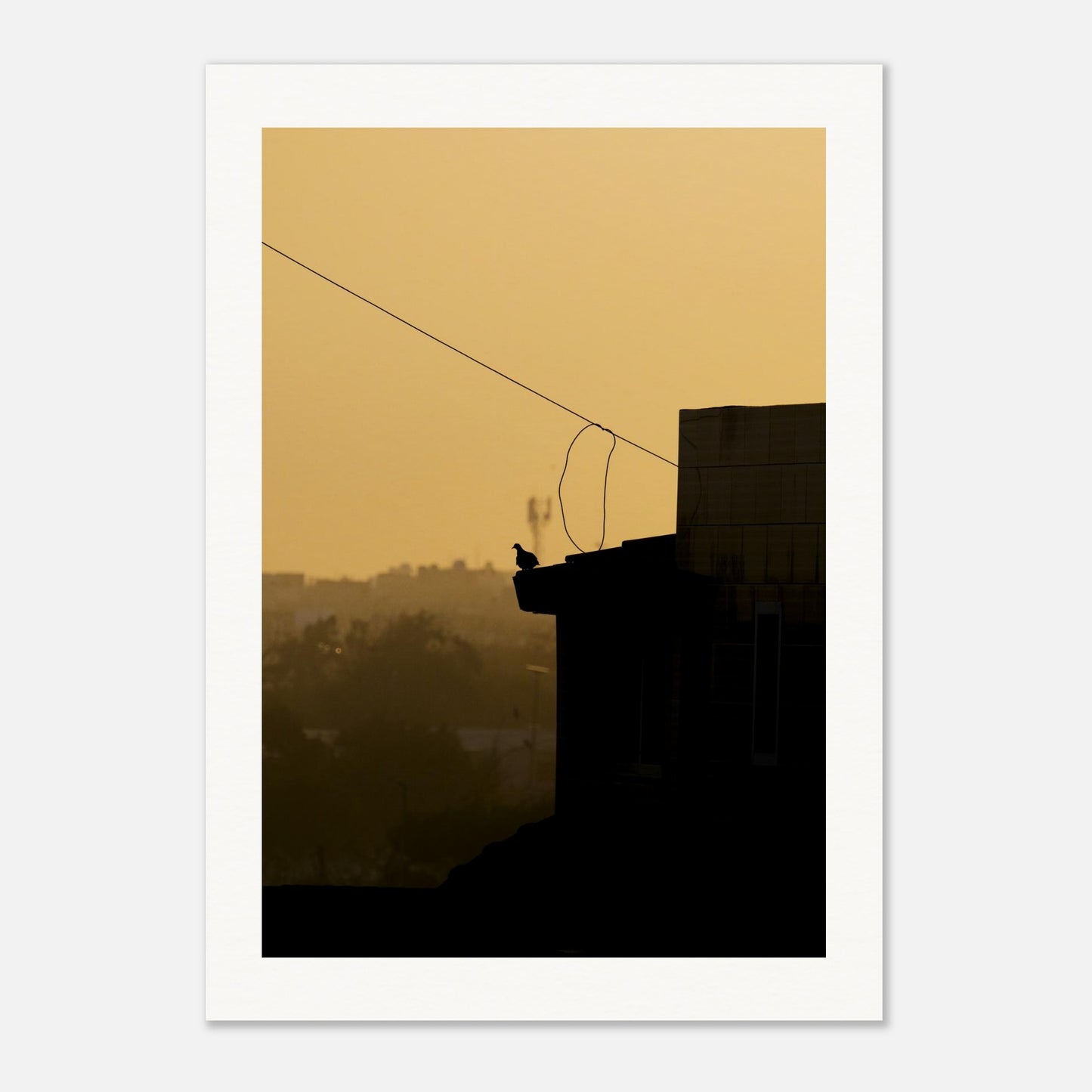 c56442aa-67d6-4eb1-9af2-9767151b70e2