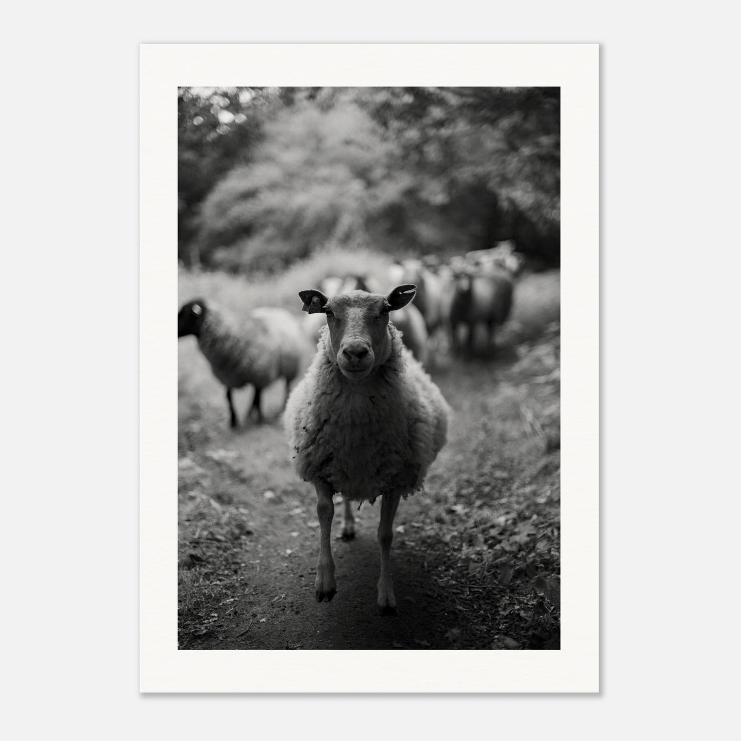 c92ce091-bfca-41f4-b8e6-750e134e66c2