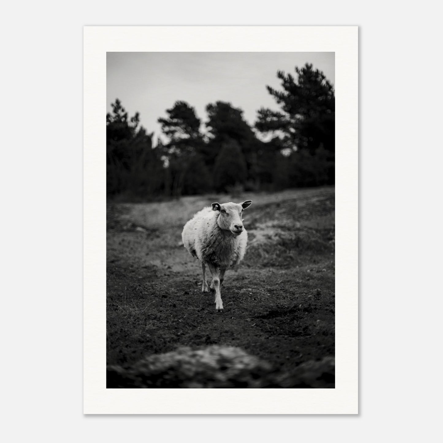 d82d8451-1372-4e7f-b760-963cb3d6ba82