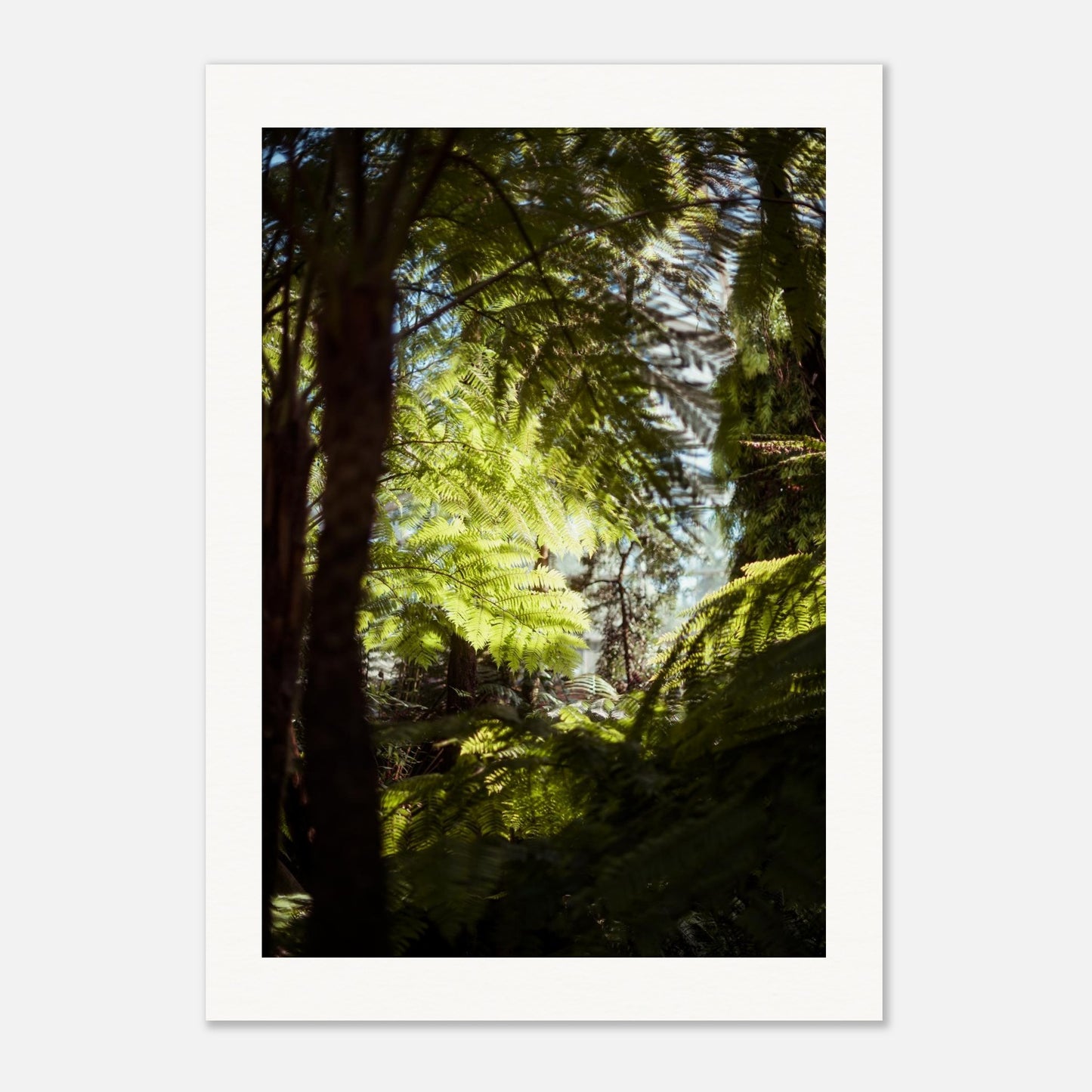 d95d4c7f-3650-472f-94a2-6cd42fc5e205