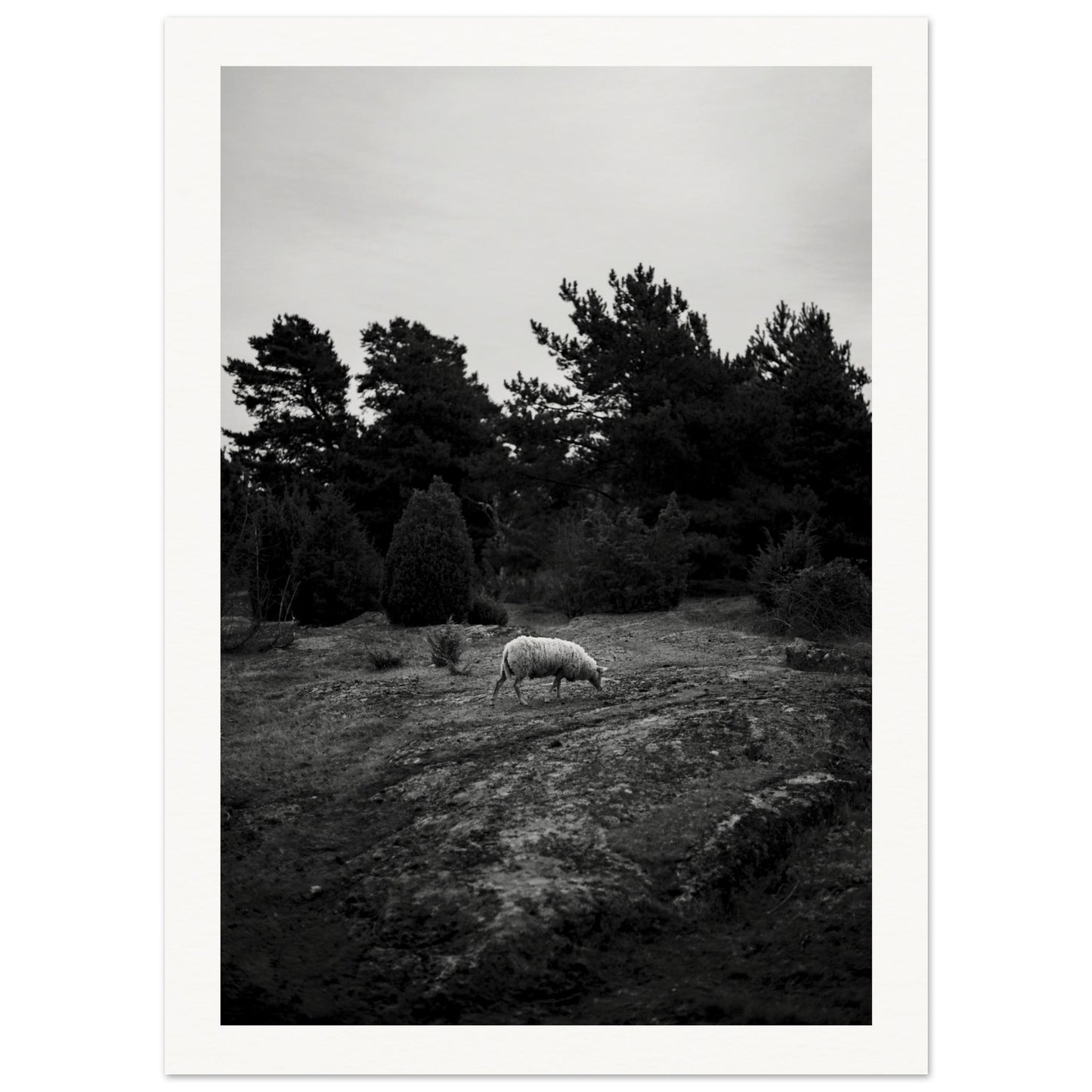 01af6d20-41f5-4688-8fe0-411714b8ade7