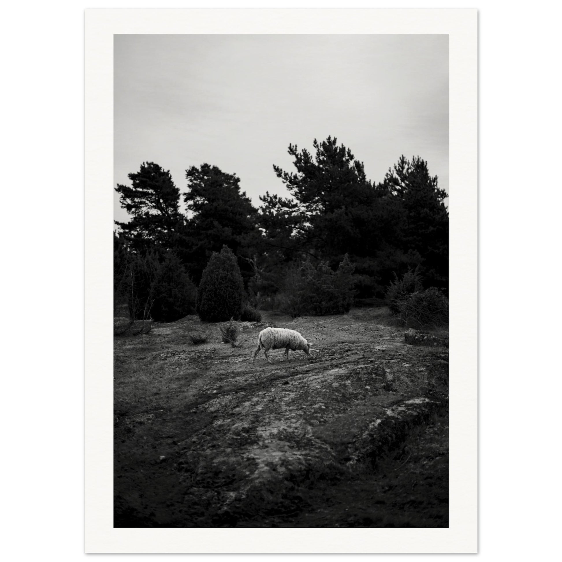 01af6d20-41f5-4688-8fe0-411714b8ade7