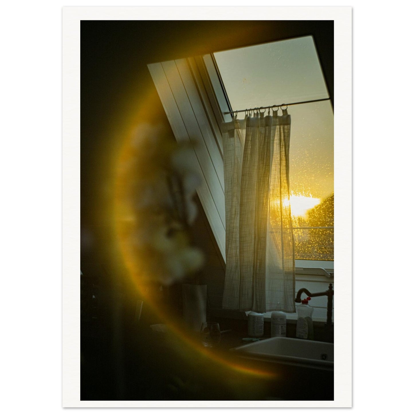 0425193a-8d25-40d3-826c-5476438cd41a