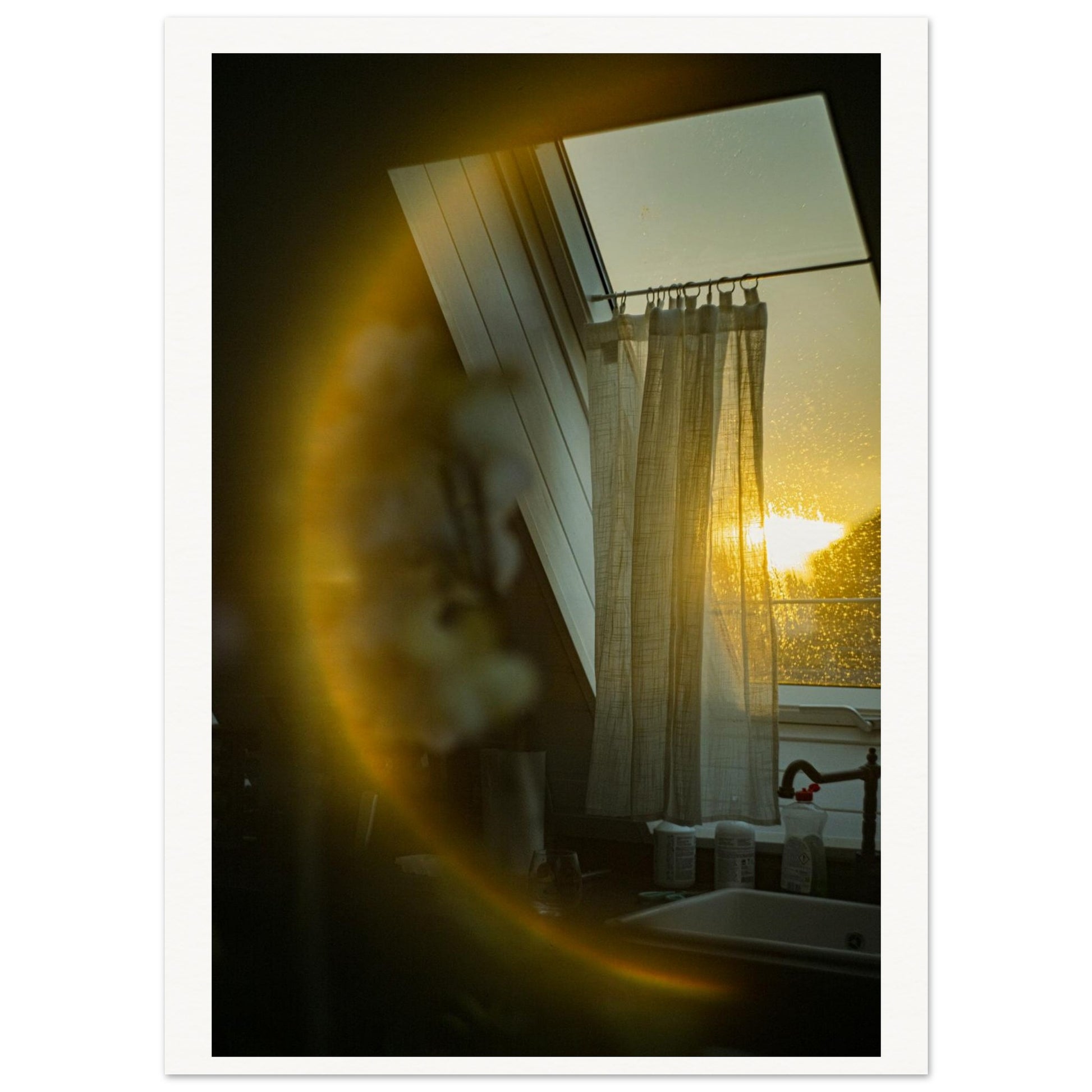 0425193a-8d25-40d3-826c-5476438cd41a