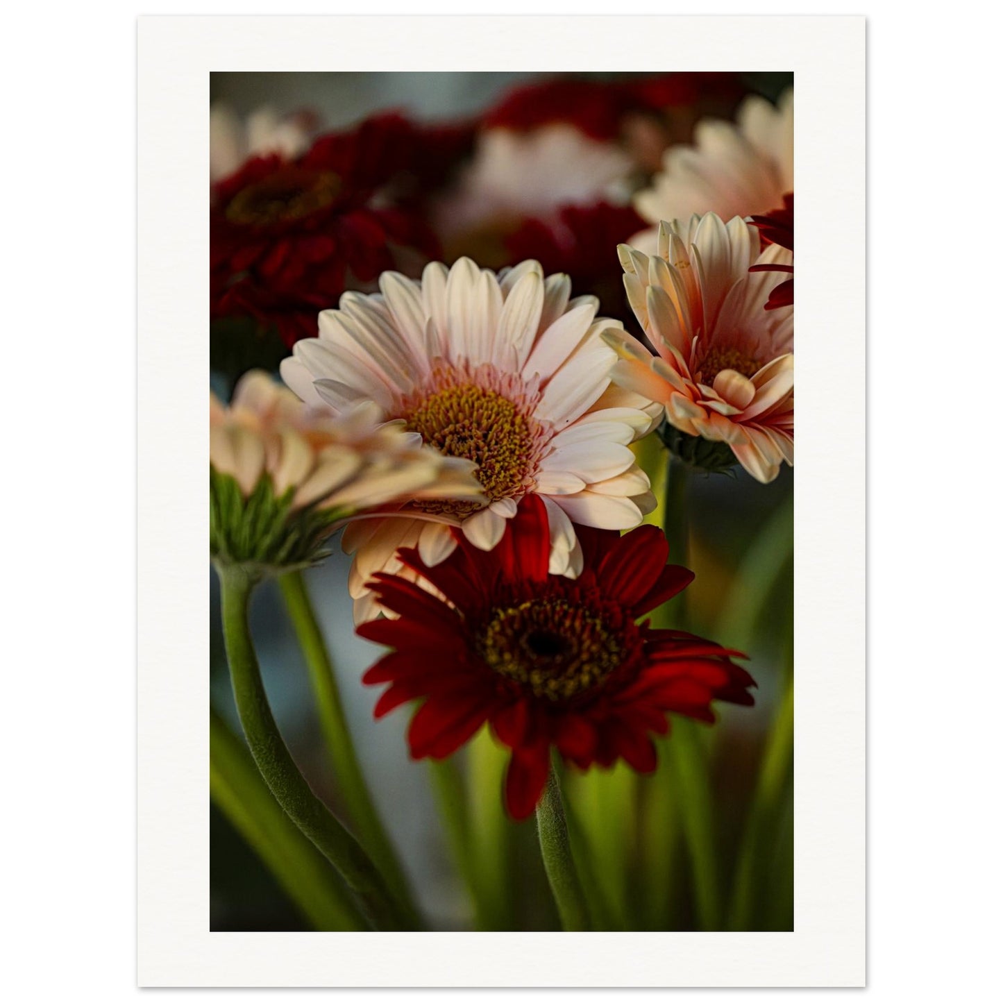 069cf25f-6255-4f2d-8d33-000643c9e540