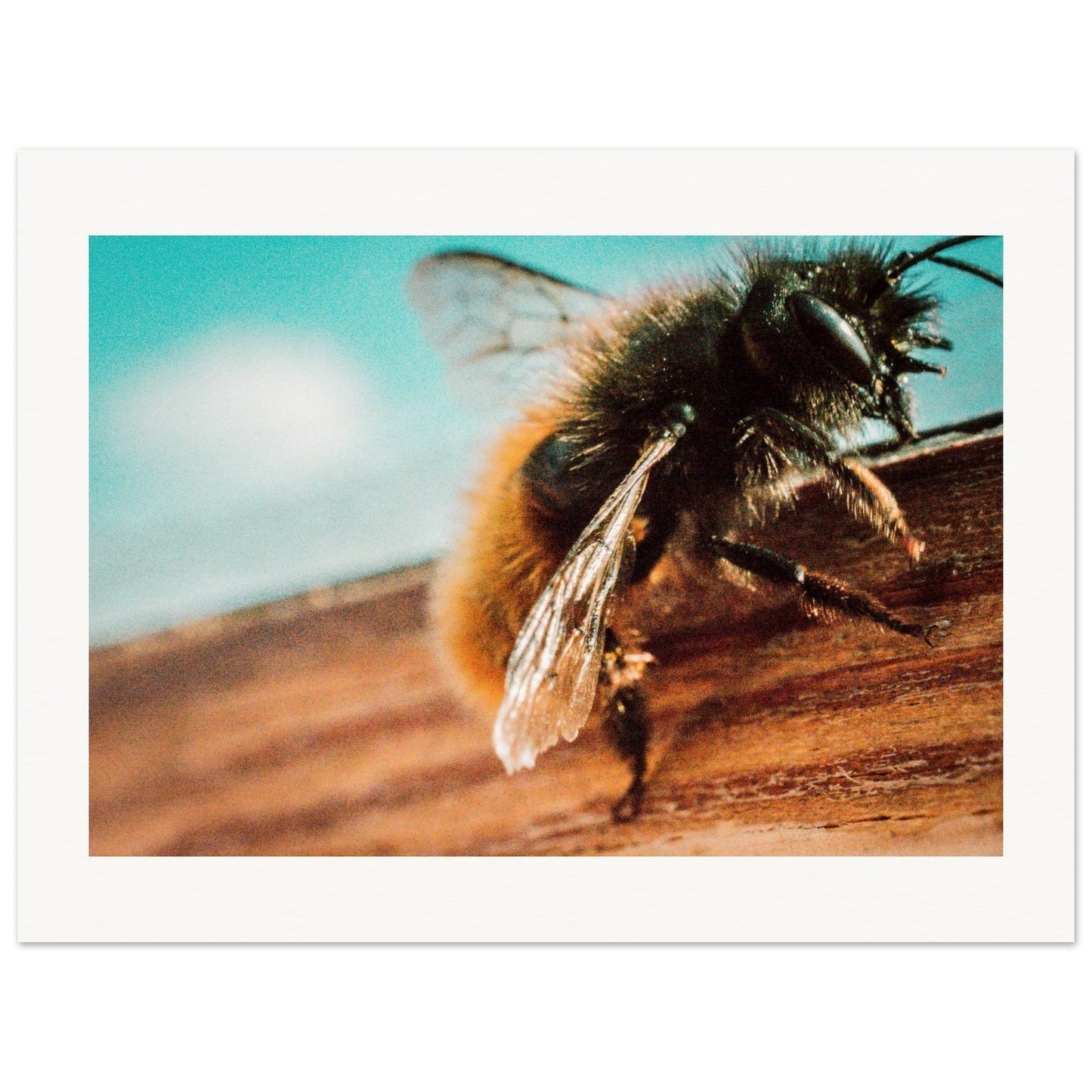 083542c4-6c33-43b3-a565-a7c6f8df64b8