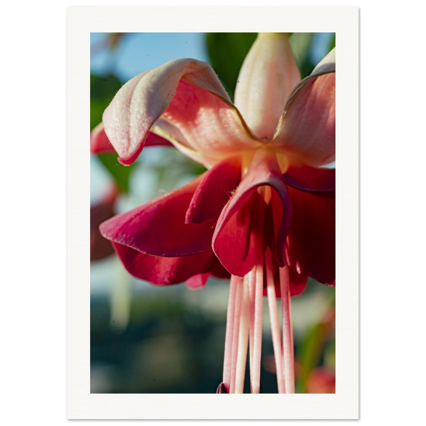 08b01e37-4e4c-4852-a497-db12c8291b00