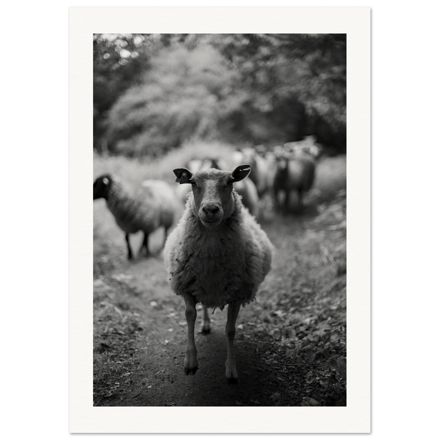 09c3cf28-59a1-4684-9e70-0fc72cb41bd2