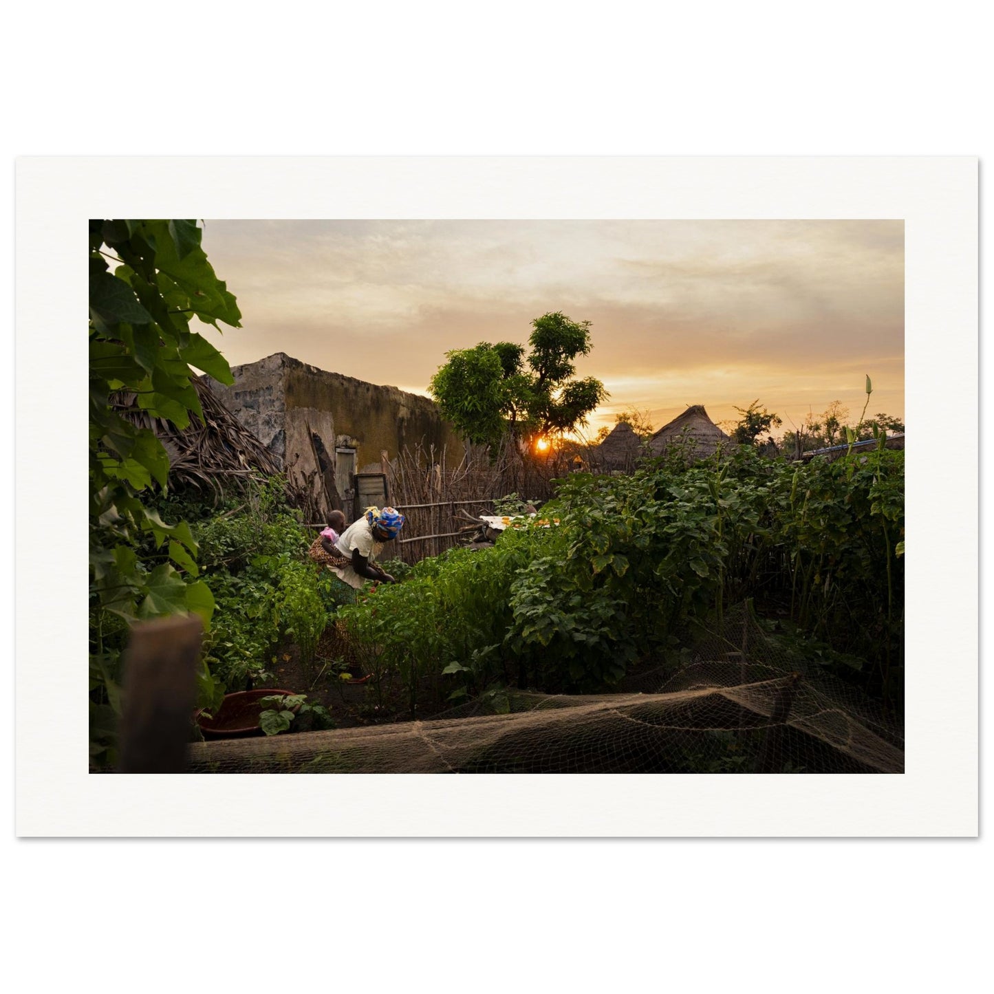 0aa6df8b-25fd-4fe4-9c7e-e9325b43434c