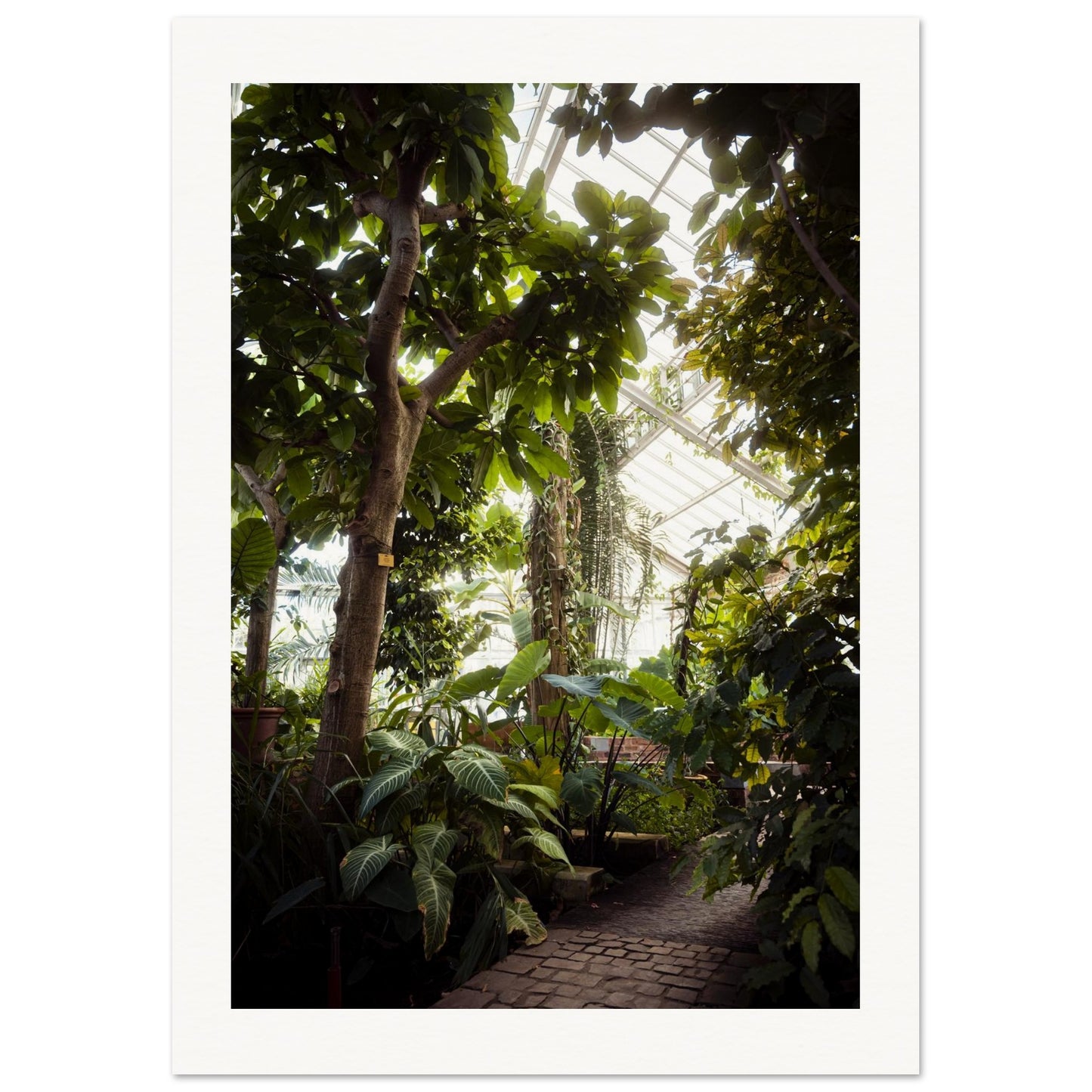 0c14e5f3-58a8-4e3c-945e-4eb79c3596e7