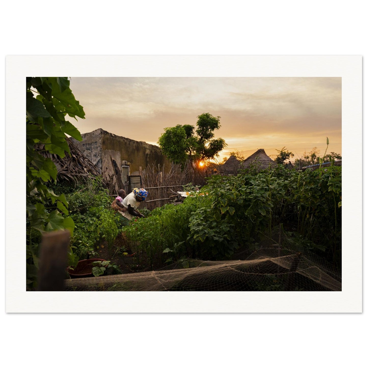 0ca11986-c8b6-4a7b-b4bc-5265ec4bdc1e