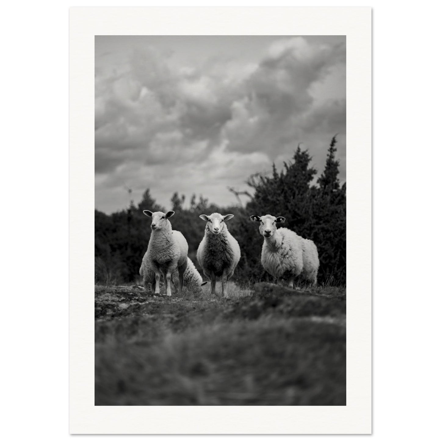 1266dffb-fb68-4a11-bfc1-c2b24b443f5d