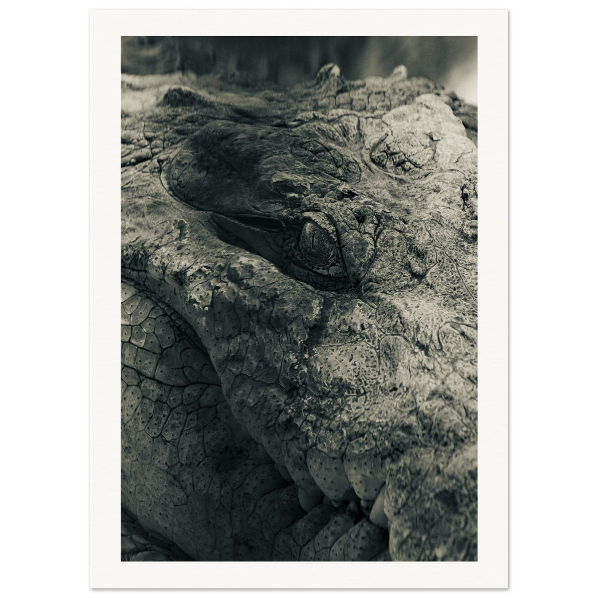 16c02bc7-5646-483d-b238-f01691dfb65d