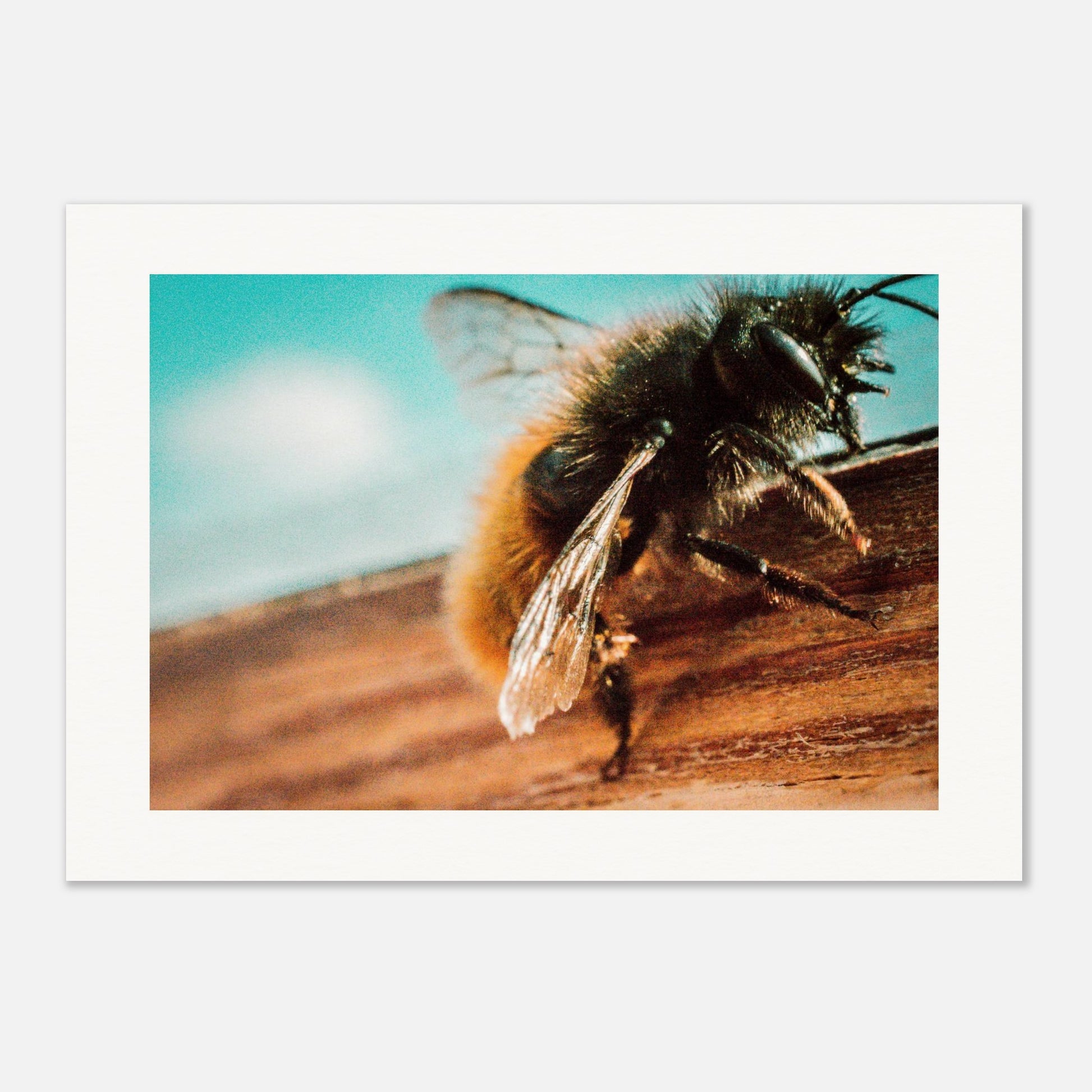 1b45997a-221e-4ec8-a696-5dd3763bbe32