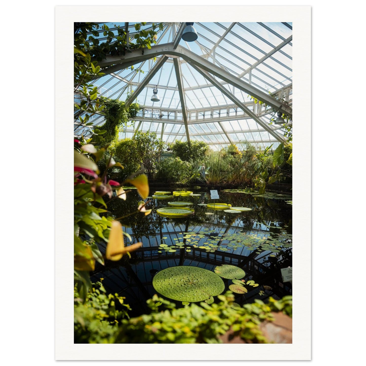 1b6b75bf-3c9f-424b-9184-2c945f7dc545