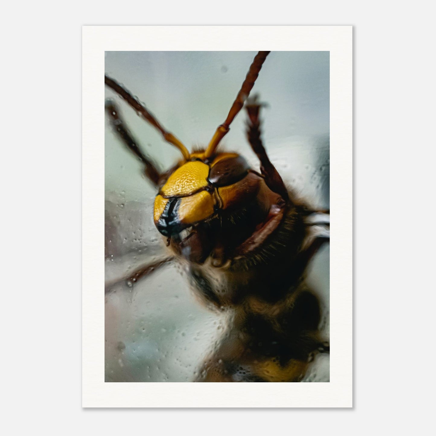 1bb3e226-e44a-4b14-a2d7-06b8297b2aac