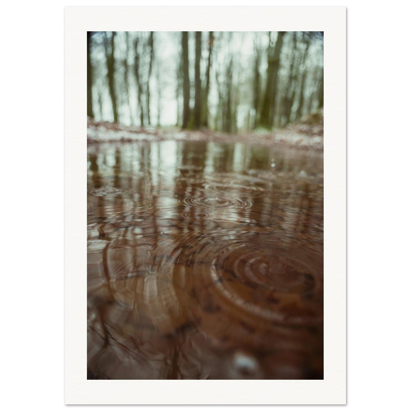 1cf0783b-069d-4fc5-b995-6ca72a9709fd