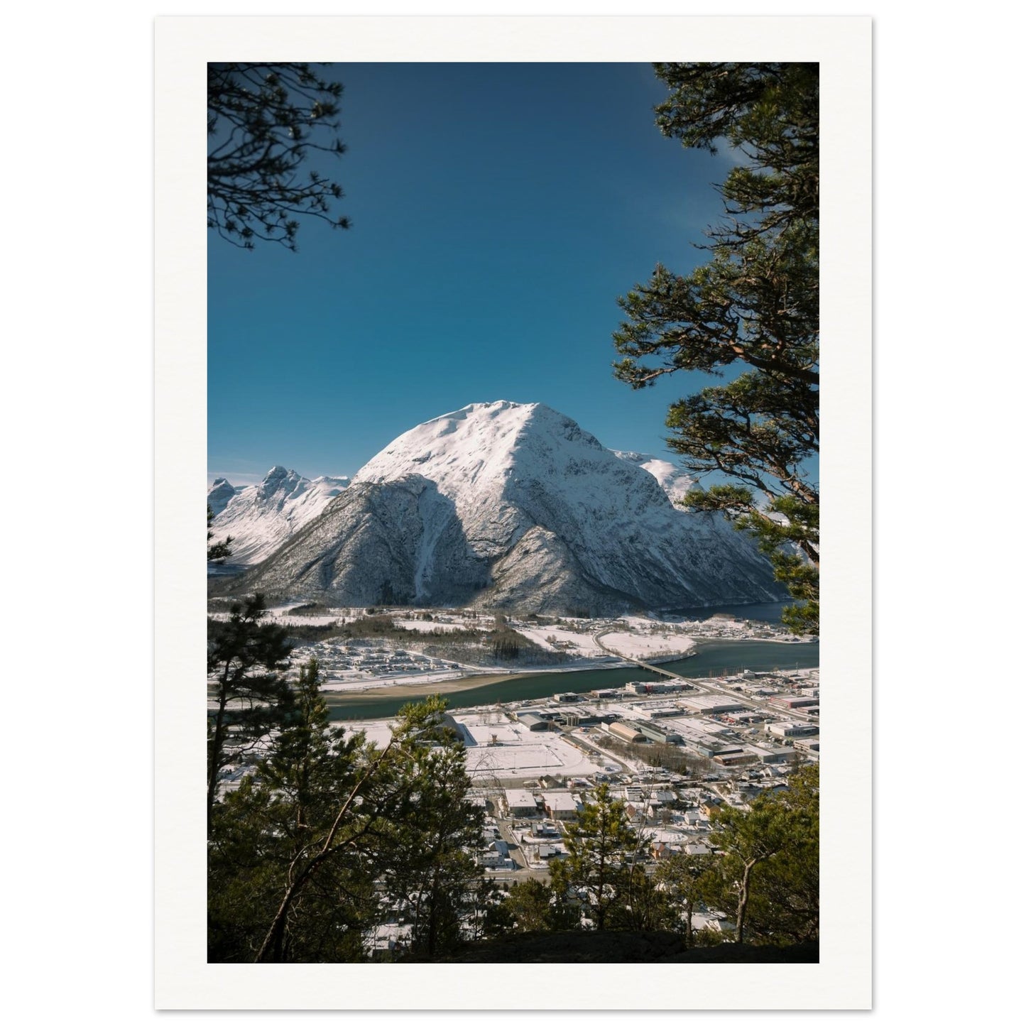 1d070f86-80b4-4d21-8005-11ec058d23a6