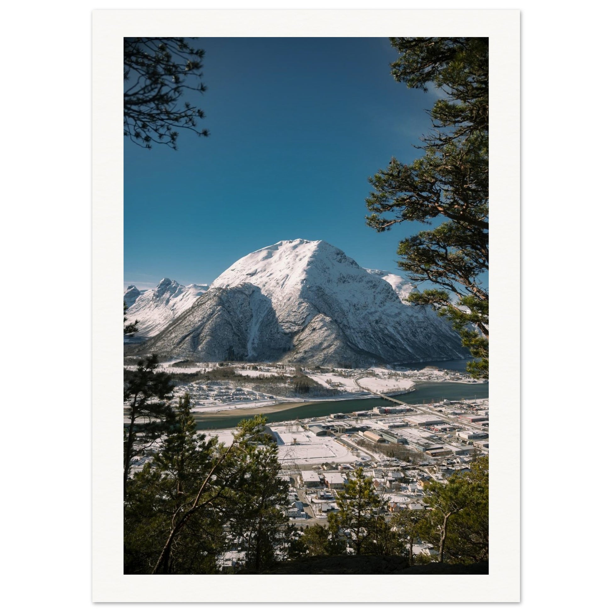 1d070f86-80b4-4d21-8005-11ec058d23a6