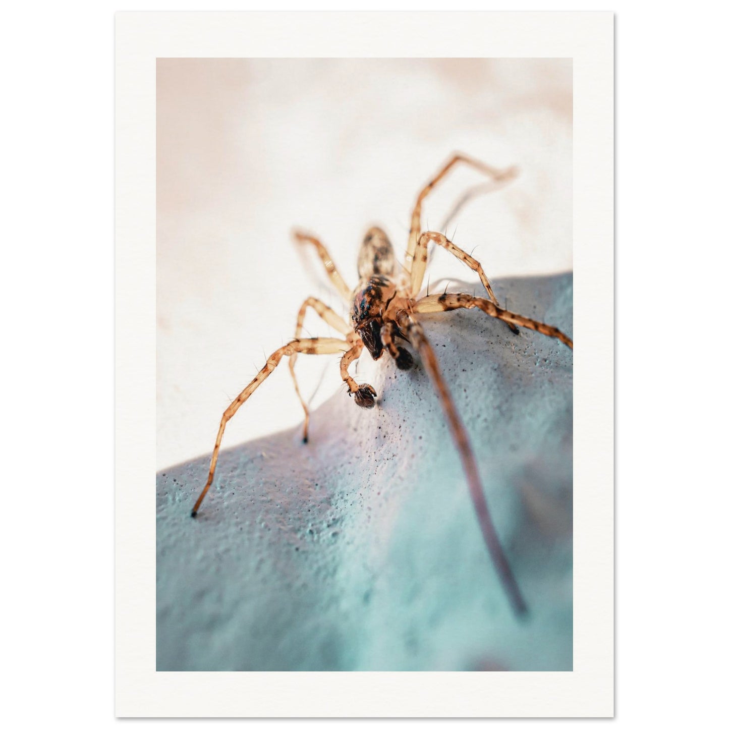 1e0aa763-8e2c-49fd-ad28-e36cd3182913