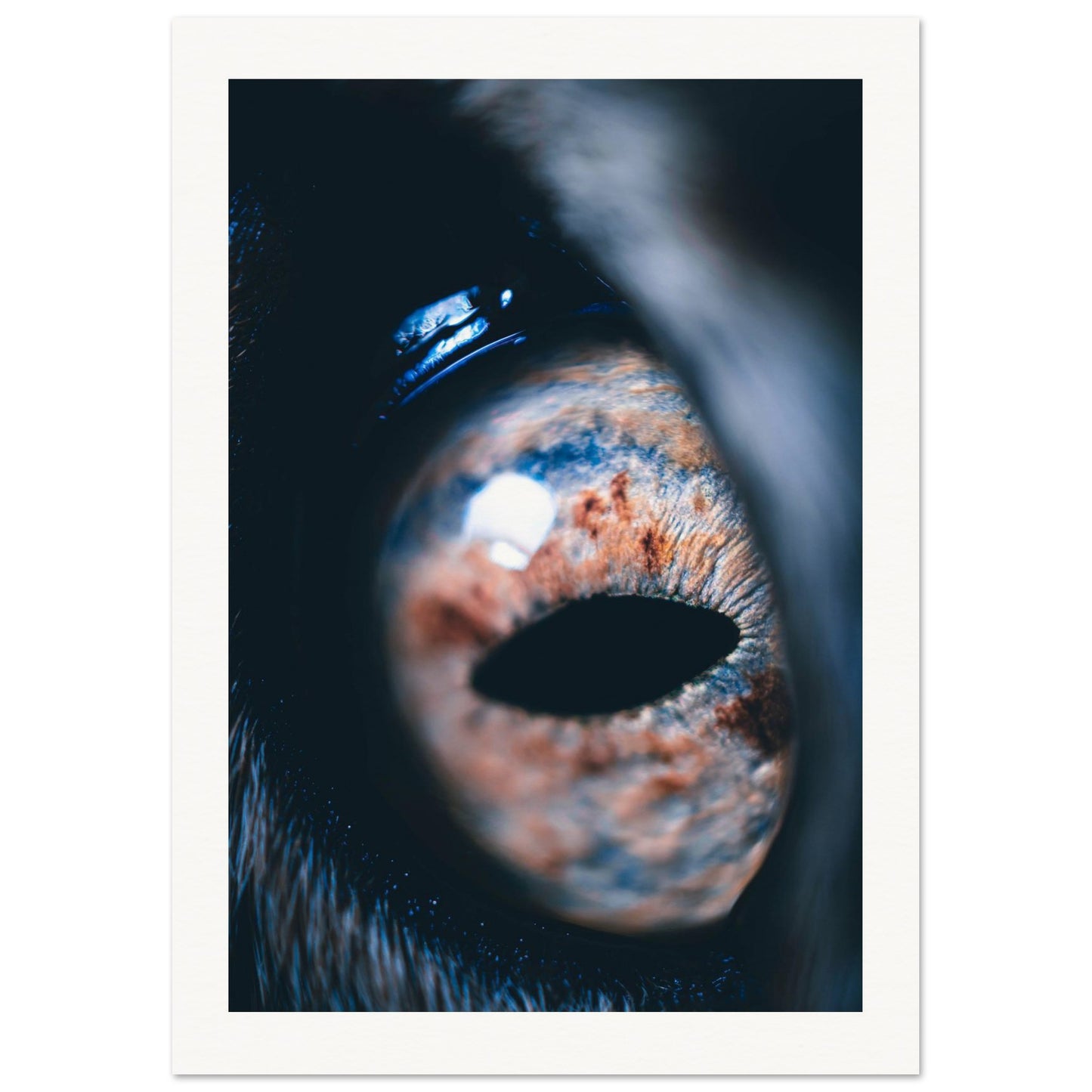 1e123cec-2aa9-4d02-b09c-d7ff2b281b92