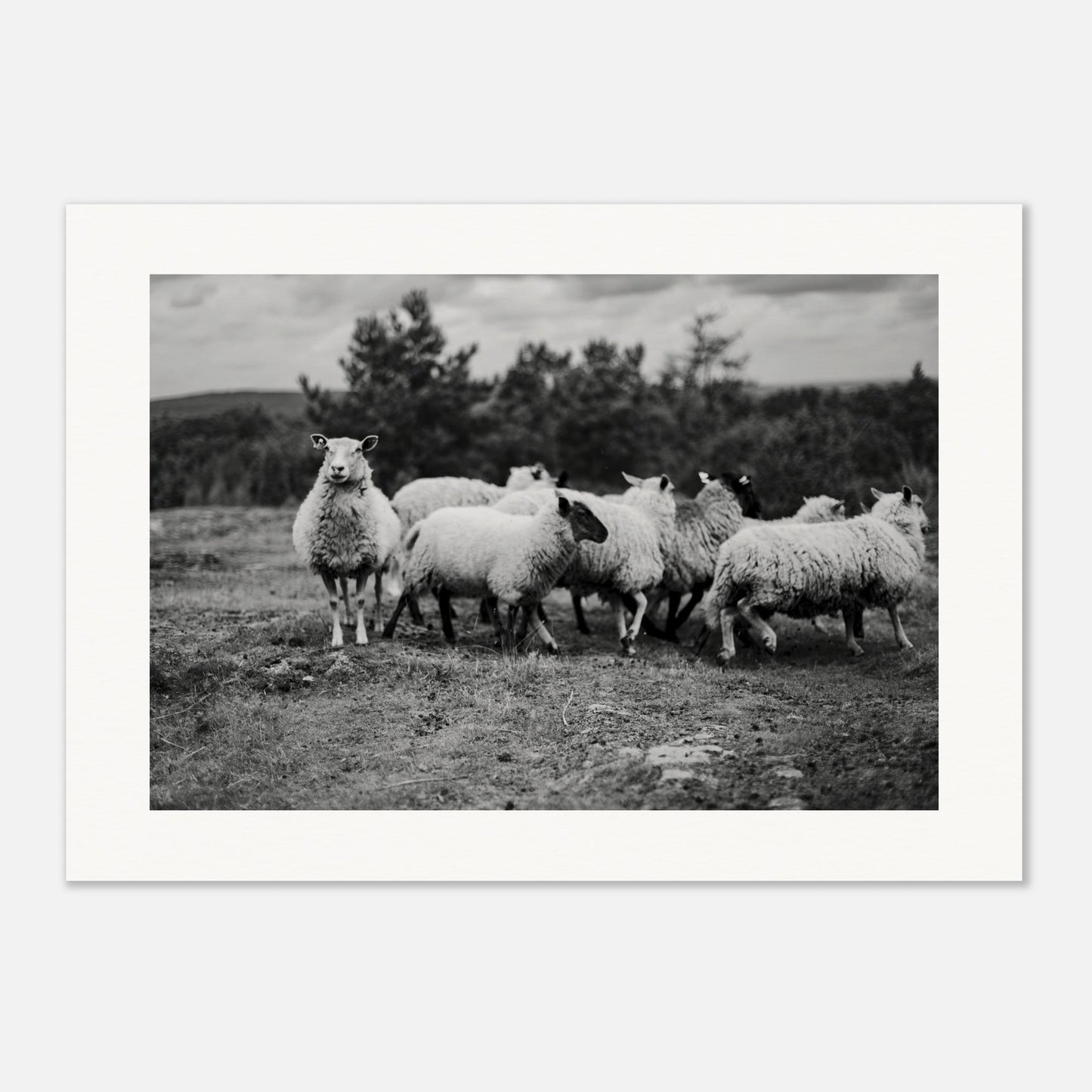 1edbd6d7-37ba-4cdf-bf9b-a28694b4d971