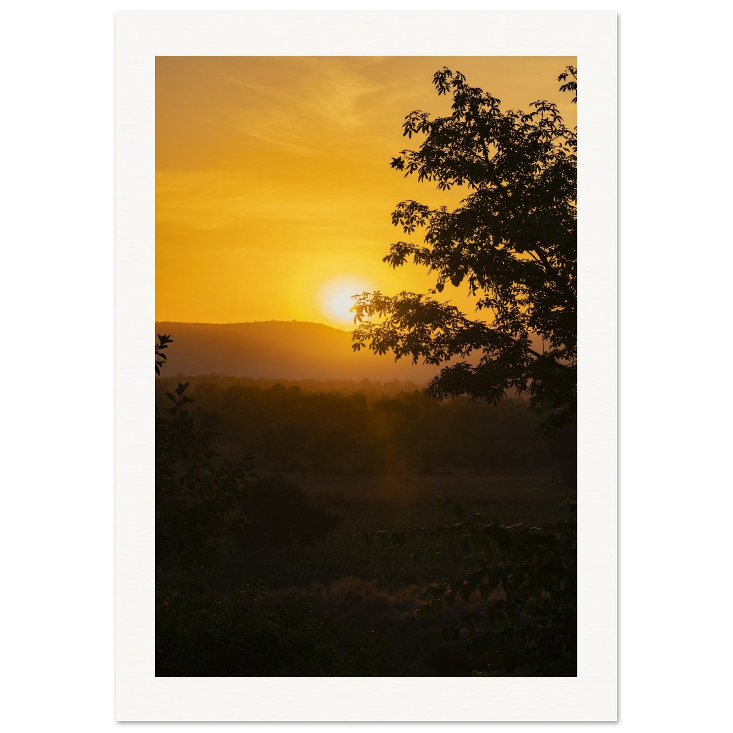 202e3c35-9185-4ef4-a679-bdbe6a51e2d6