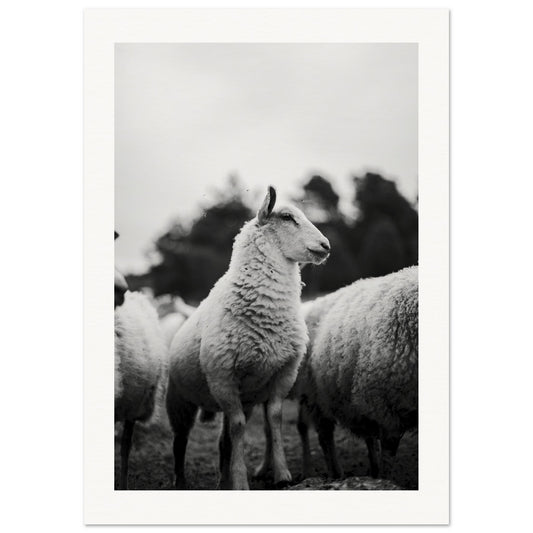 20d478b8-40fb-4d9c-a7bd-70d3ff8a53f2