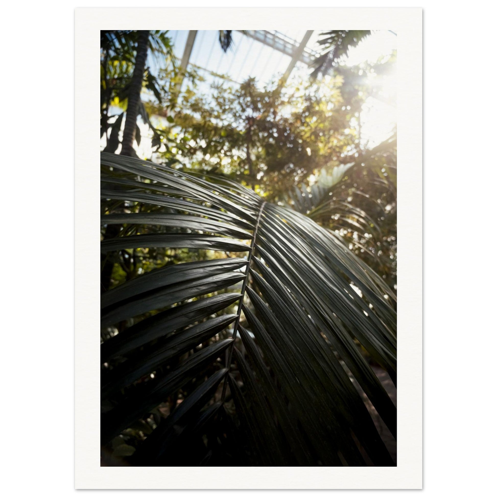 20ef5d6b-ee17-43f0-9a59-9d5f2c76808c