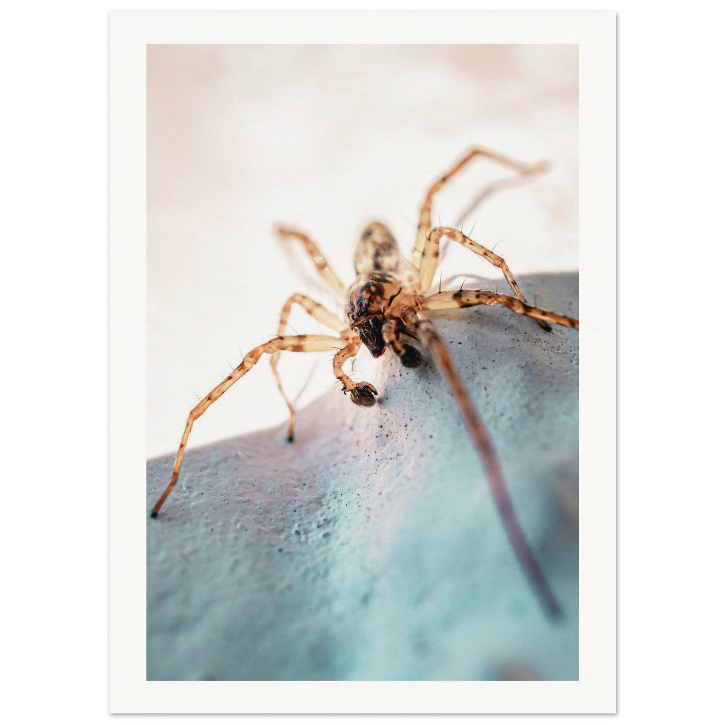 216b2a23-a231-4a2f-b5f6-f646248a81d4