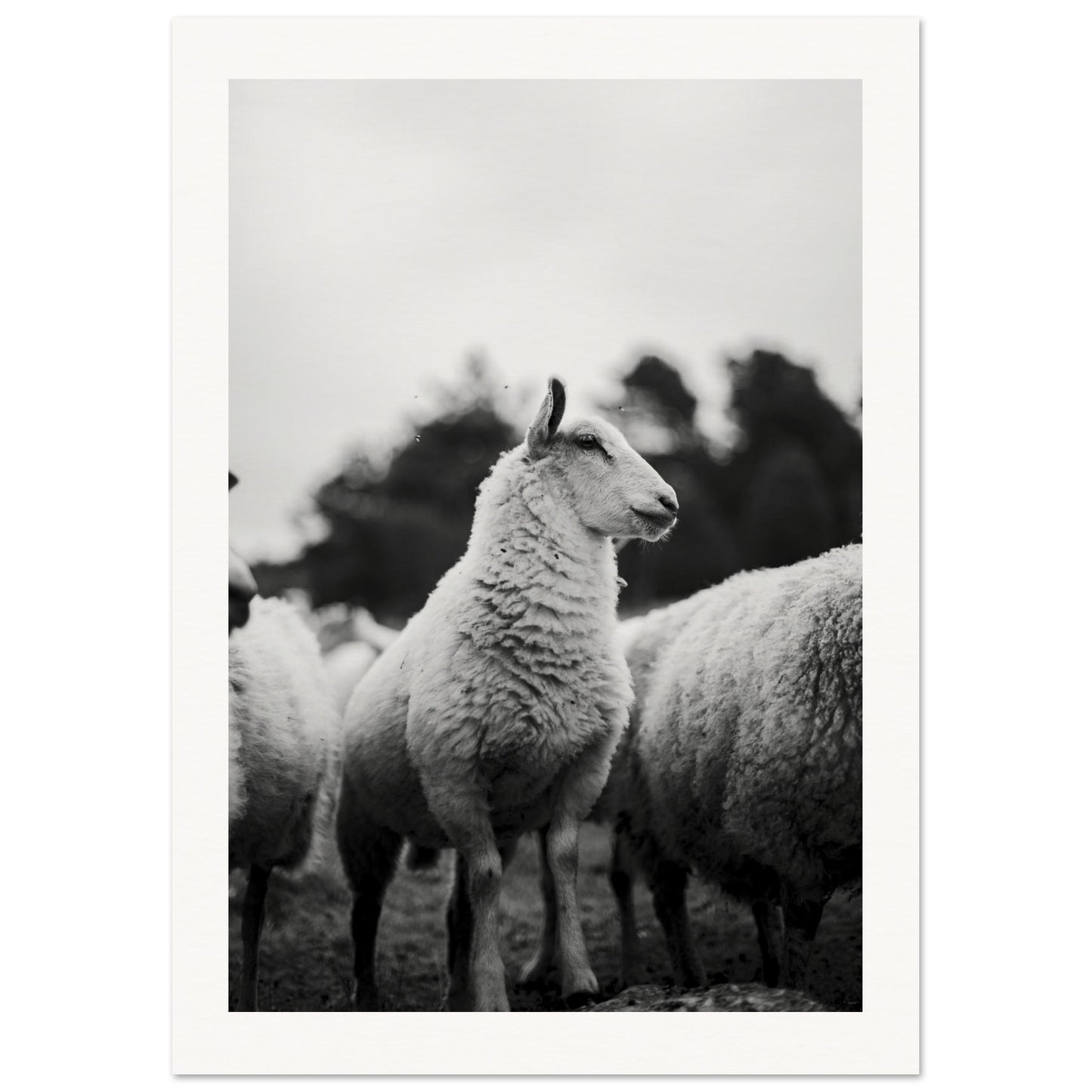 218e05c6-d226-48a2-ad29-1b9d9eac4cc1