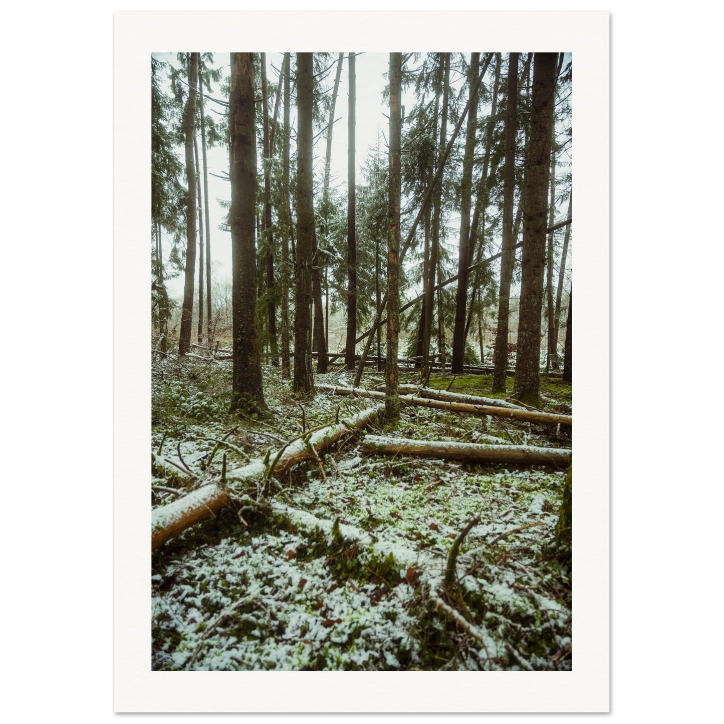 22345518-7c9f-4e0d-a35a-33bbb6495415