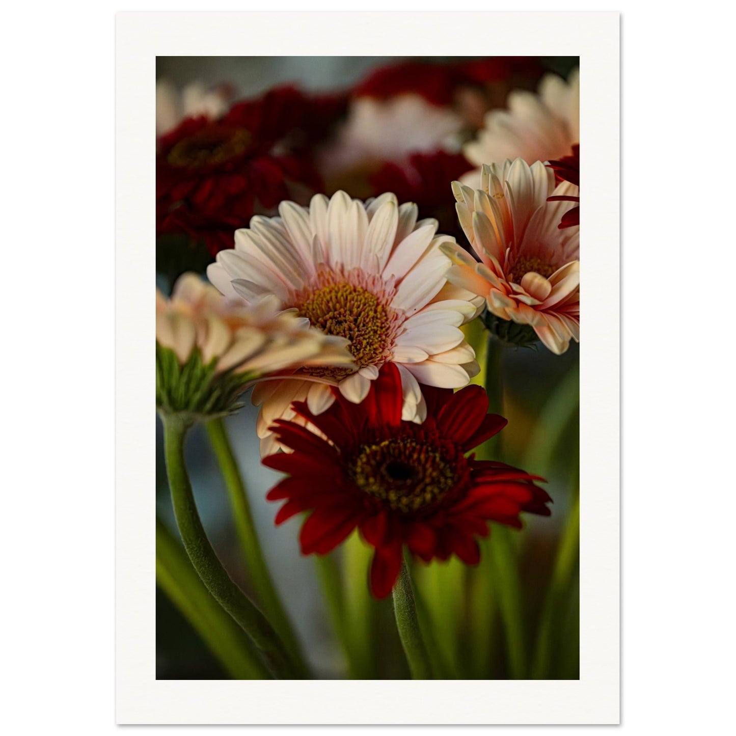 2493e4f9-2372-430d-8403-765586ccb100