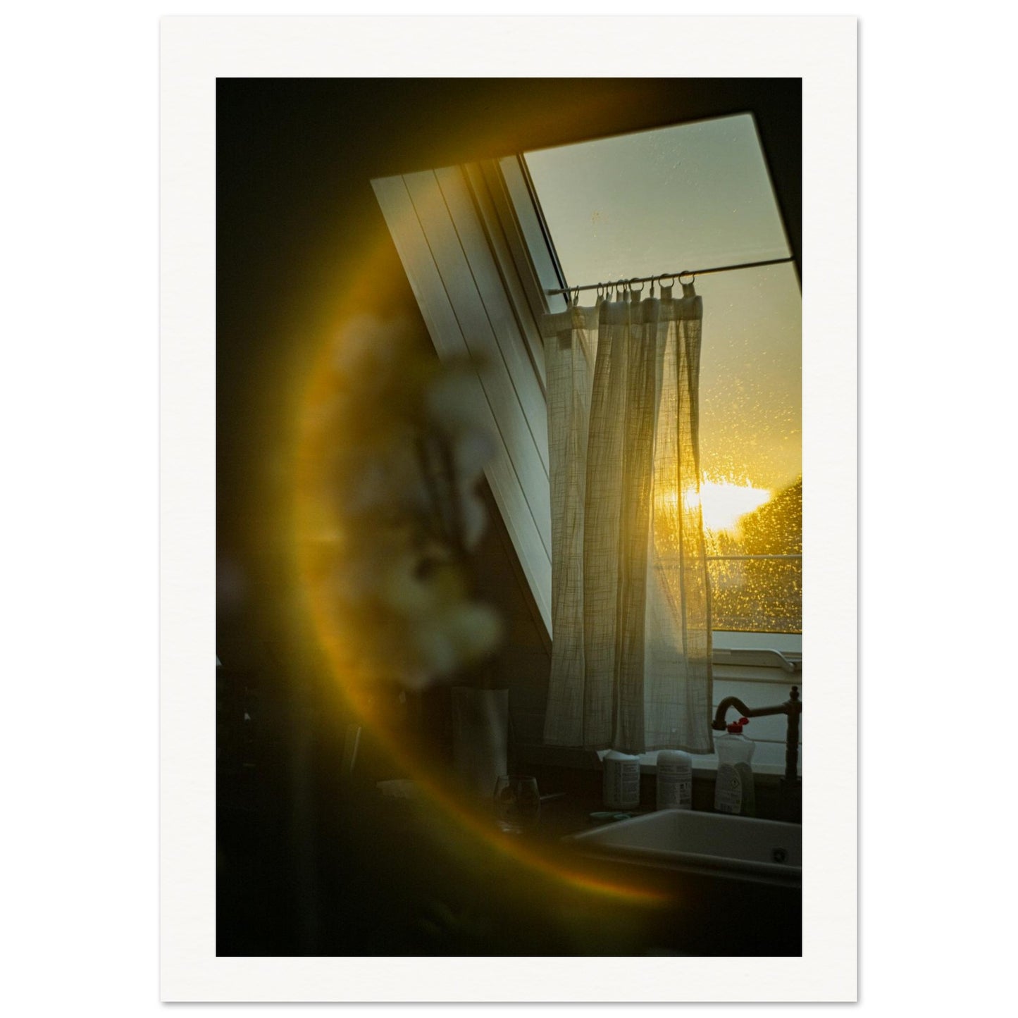 24b5c773-56be-4c4f-823b-710c57bc8af0