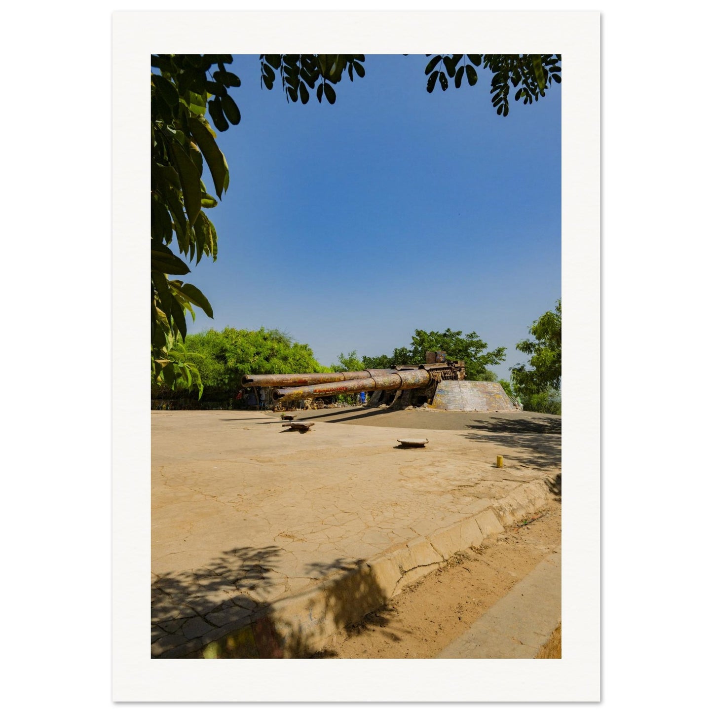 255e4e9d-af67-4954-ab60-0139480622ea