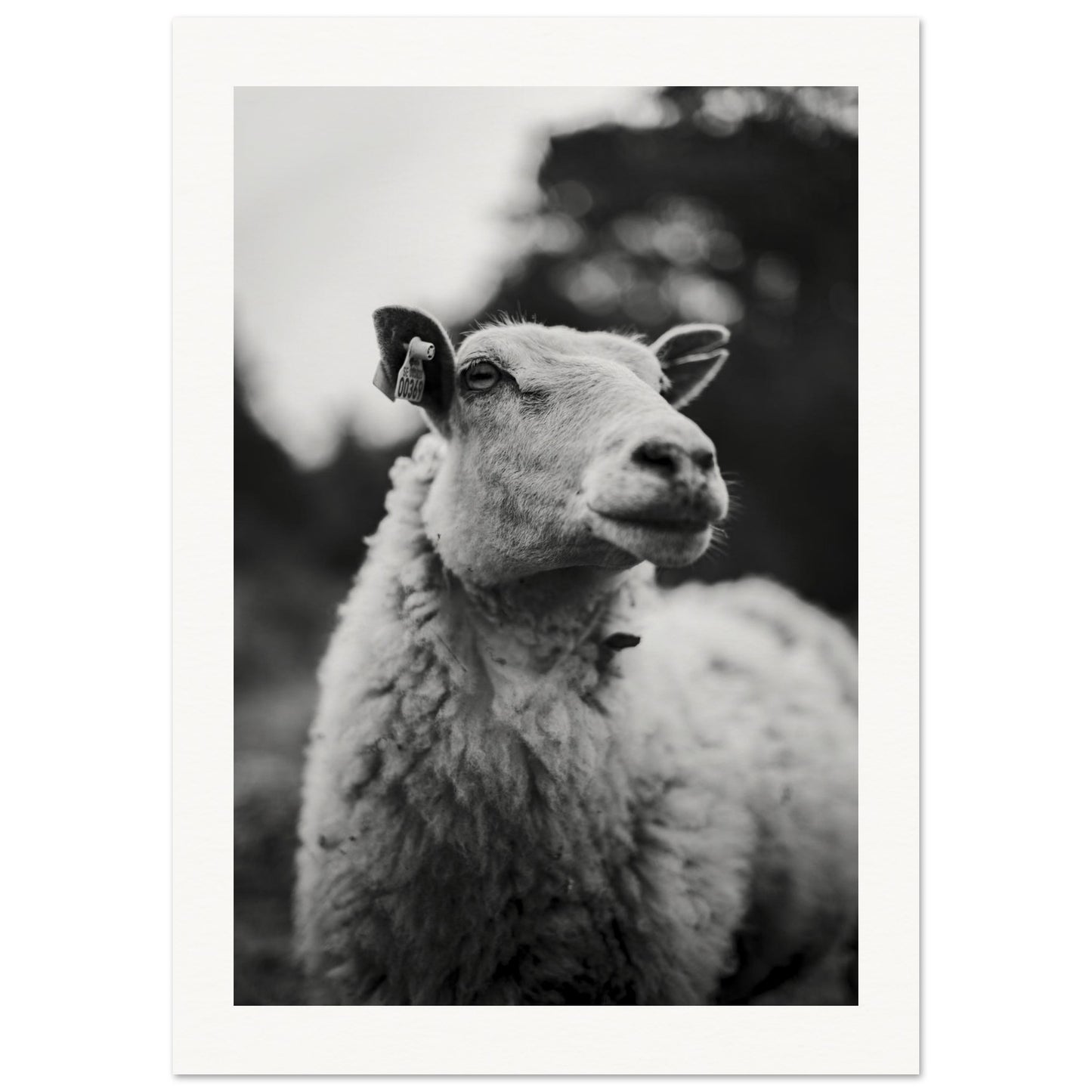 259a9b60-f5d6-42a5-b539-79d721446986