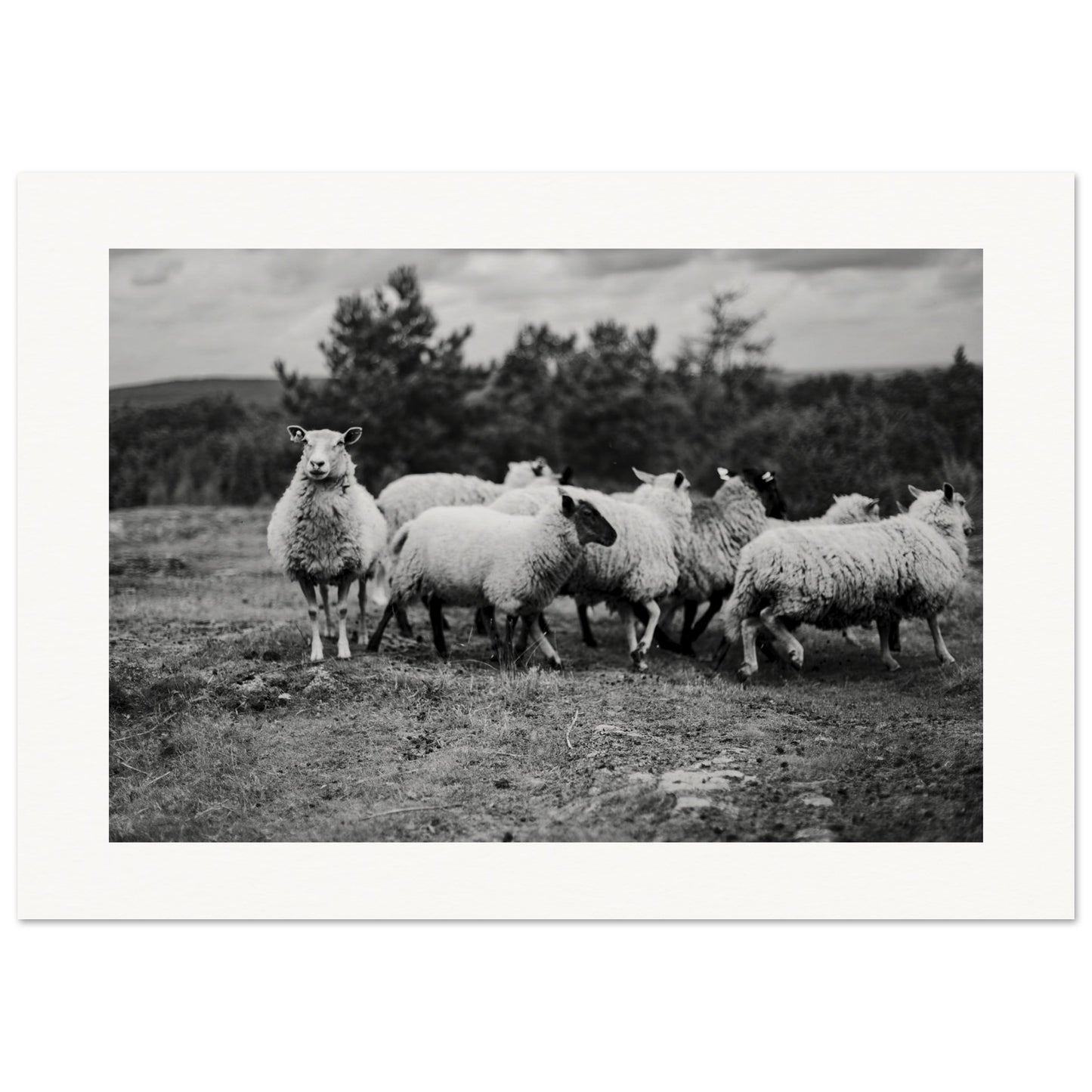 26420893-ac11-4181-9031-2fa9c3f63ebc