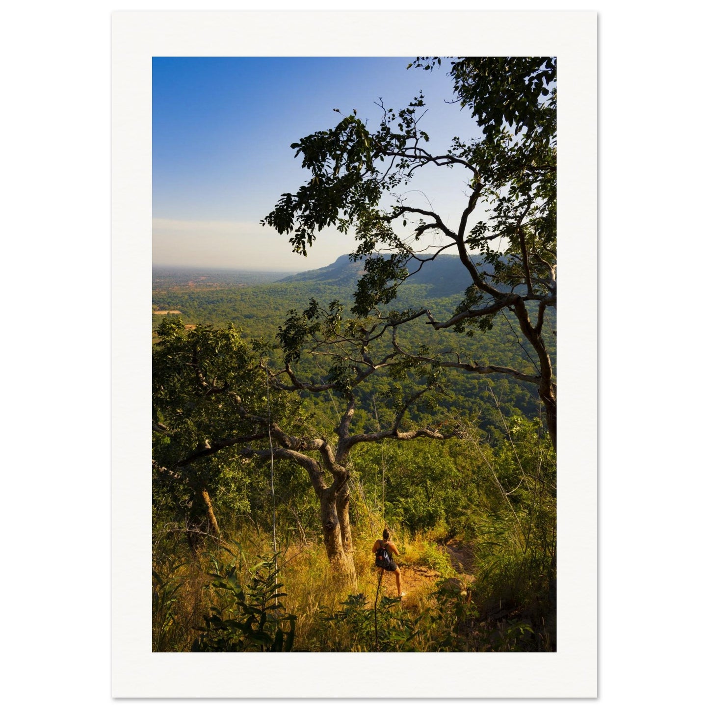 264cd6d6-f4a0-4c8a-9d20-8b947b7a1a4a