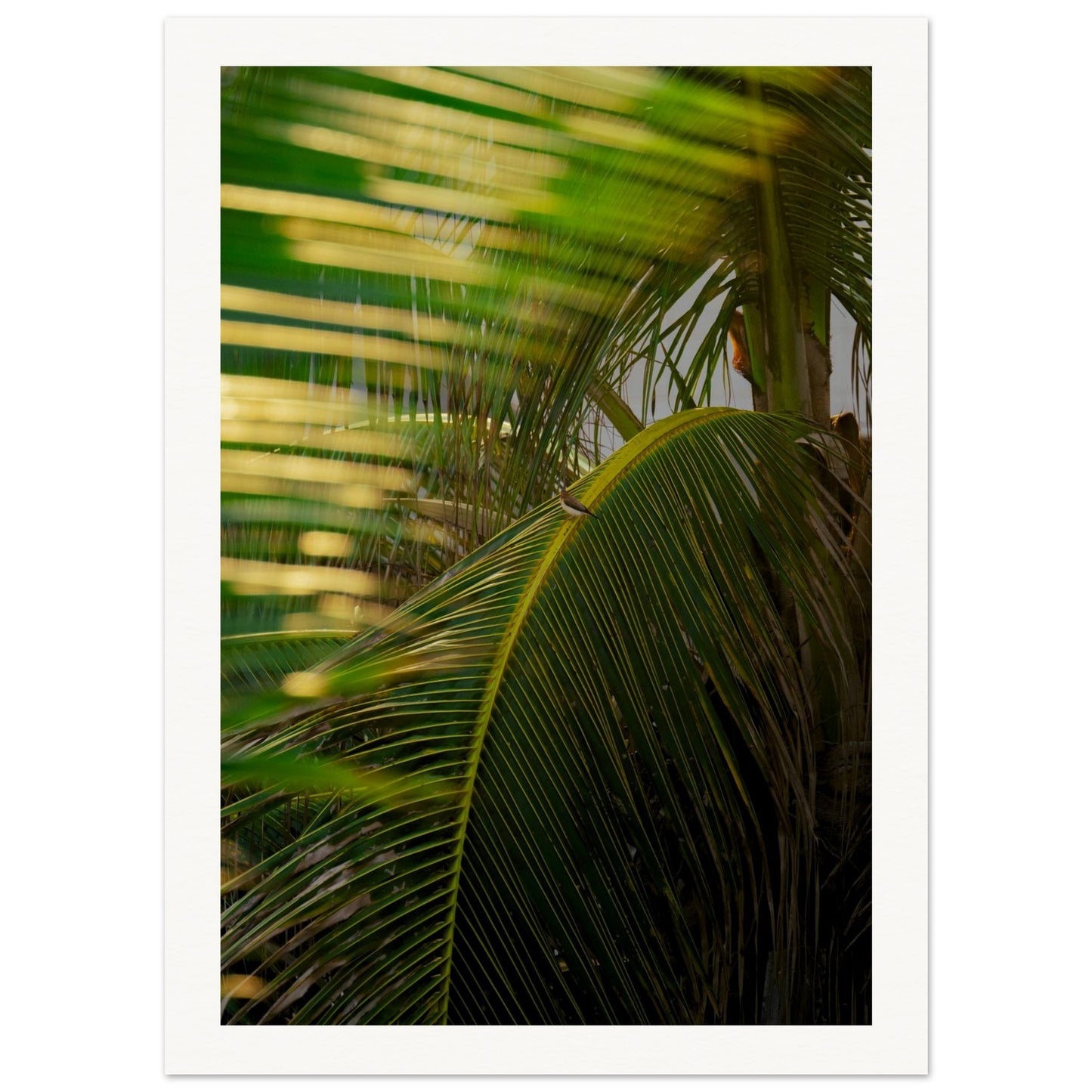 27c1c856-c7bc-4668-ab37-3a65c770dcea