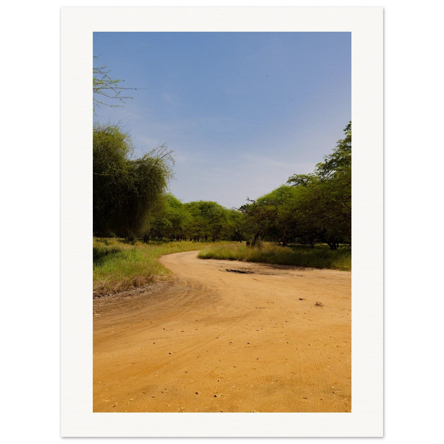 290dc3e1-c656-46d0-bfec-8d64095a1754