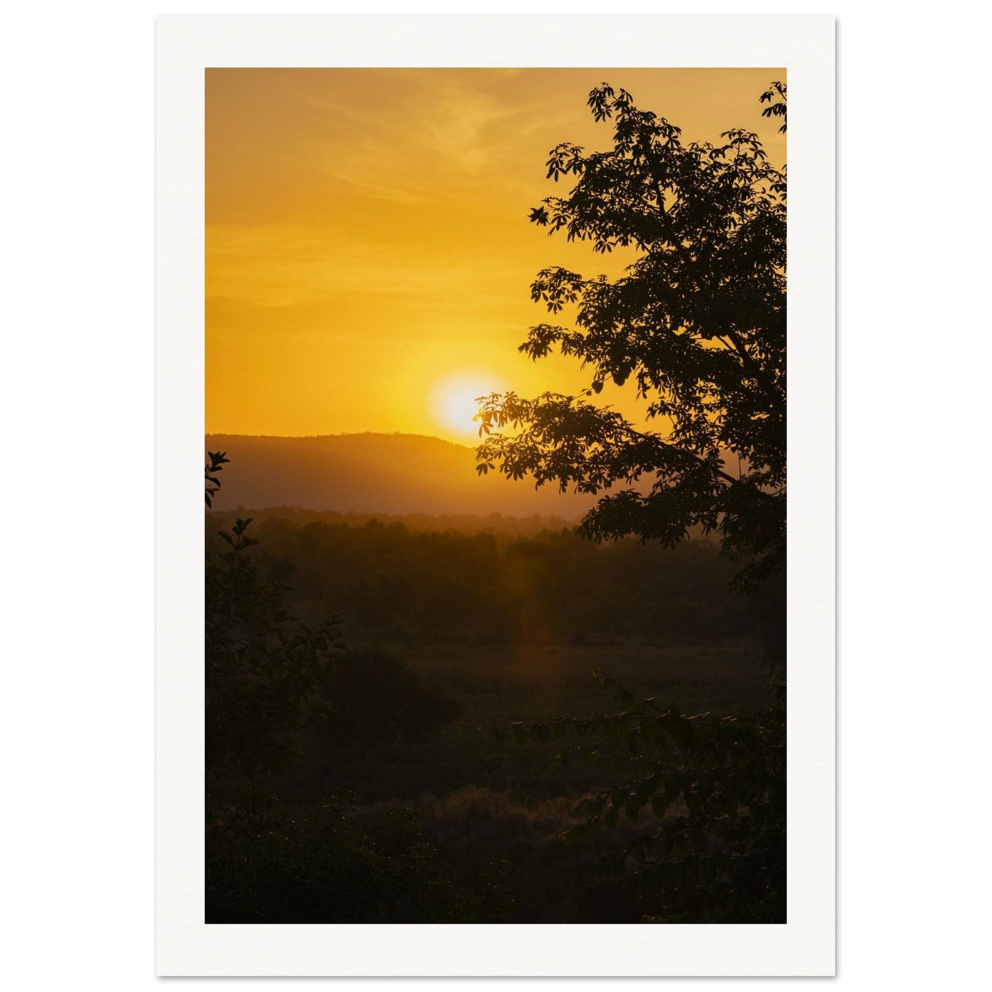 29eb8764-9e65-4566-88ad-033439666c36