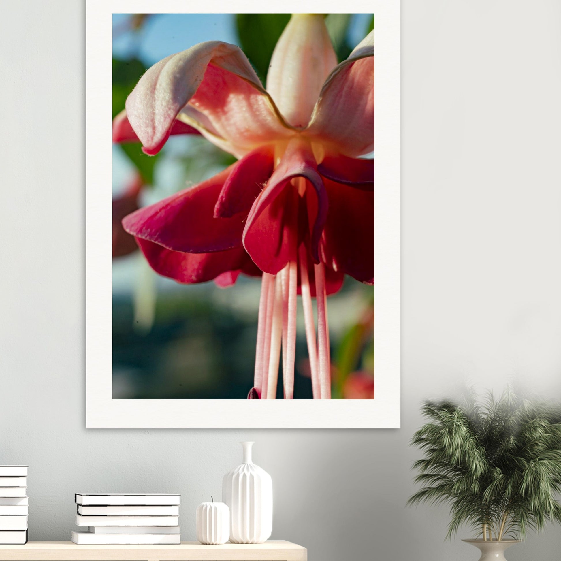 2ac8c636-6920-4de5-9e8c-72984ccd916f