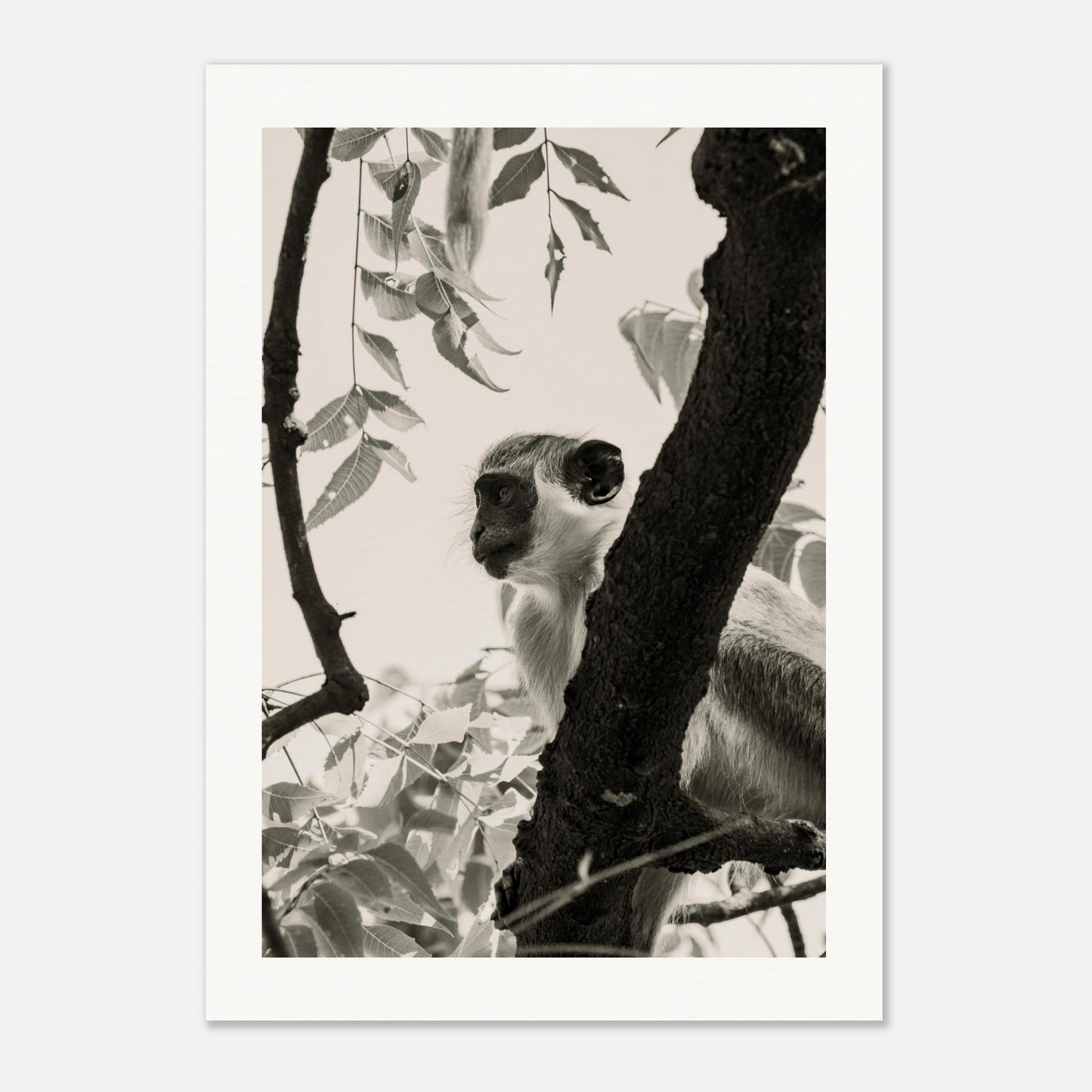 2b82ef7e-0d58-442b-ba50-c921b63abf83