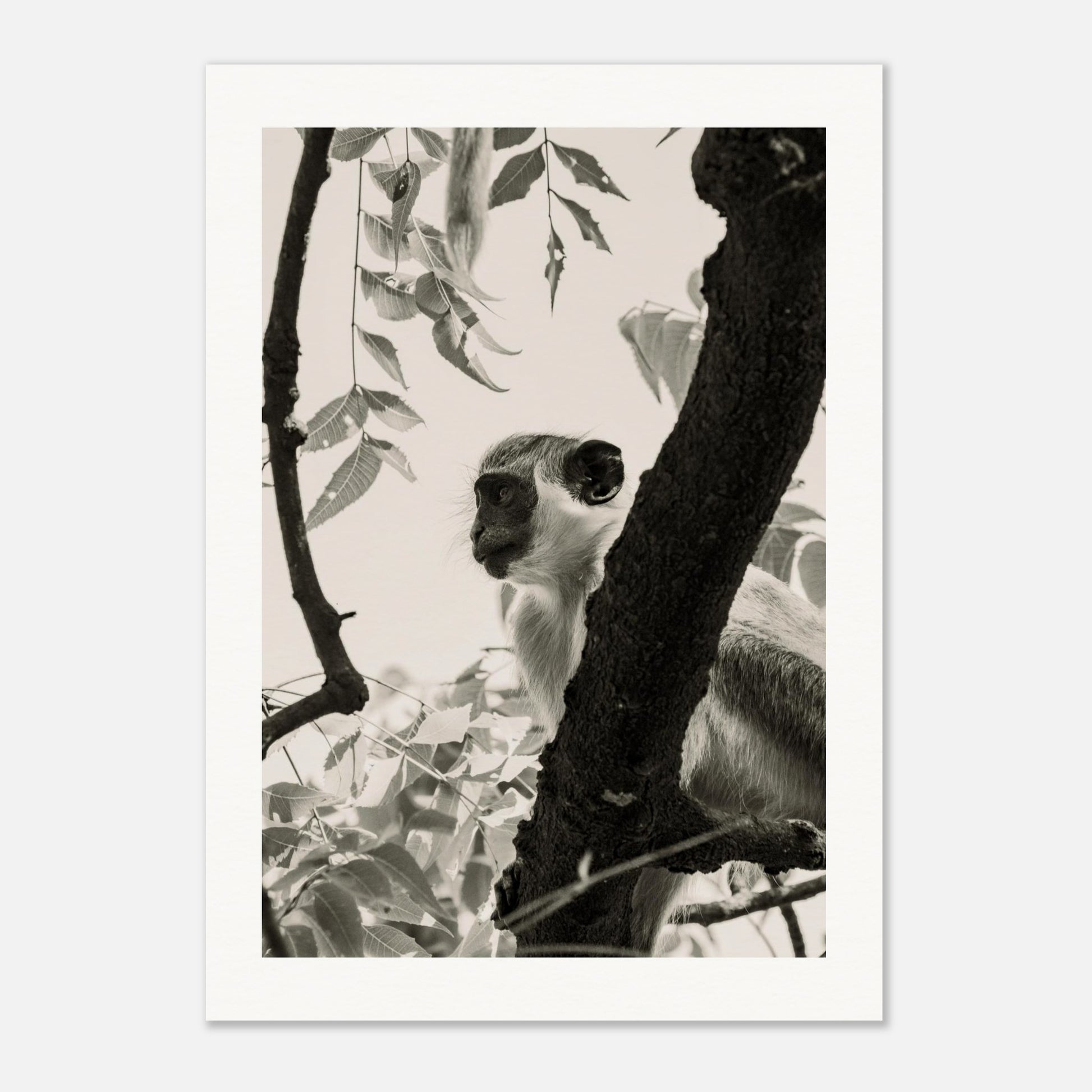 2b82ef7e-0d58-442b-ba50-c921b63abf83