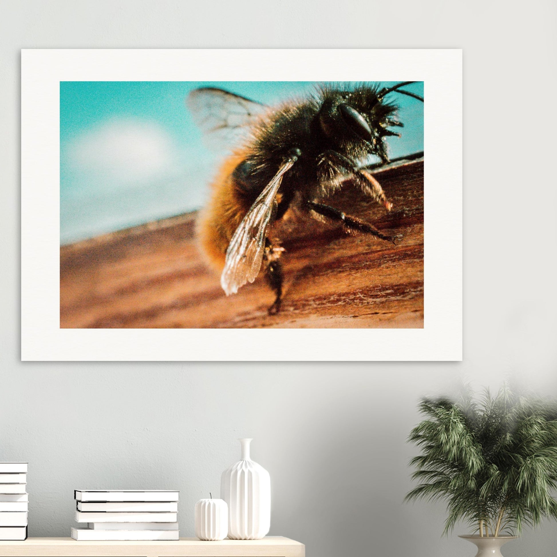 2d01c5a1-d72c-4eb2-b9bd-cb52b49564c6